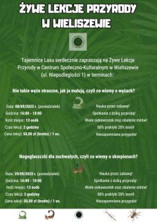 Powiększ obraz: Plakat zapraszający na wydarzenie. Szczegółowe informacje w aktualności