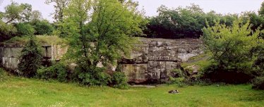 fot. Grzegorz Biernat Dzieło Pośrednie D-9. Na zdjęciu fort otoczony drzewami