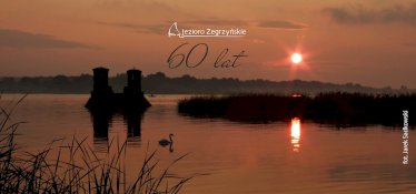 Fotografia Jarek Sadkowski, zachodzące słońce nad jeziorem zegrzyńskim, płynący łabędź, w tle trzcinowisko