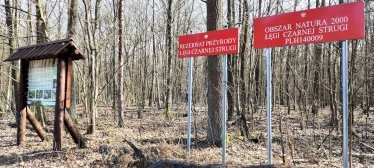 Na zdjęciu tablica informacyjna po lewej stronie w Rezerwacie Przyrody Łęgi Czarnej Strugi, tablice po prawej stronie: Obszar Natura 2000 Łęgi Czarnej Strugi, Rezerwat Przyrody Łęgi Czarnej Strugi