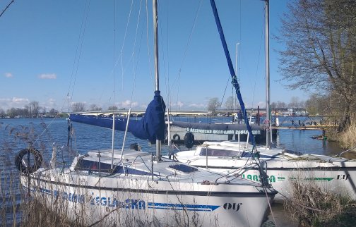 fot. https://wiatr.waw.pl/#site-footer. Na zdjęciu łodzie żeglarskie przybite do brzegu, w tle most drogowy w Zegrzu