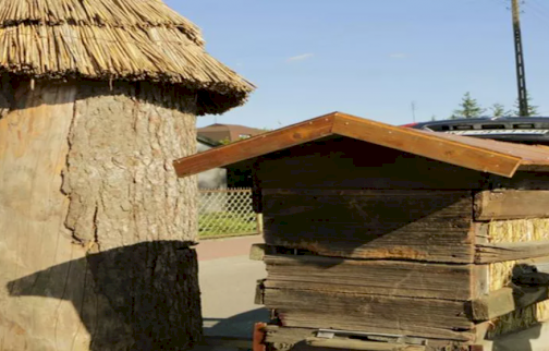 fot  www.nasze-pszczoly.pl/informacje-strona-glowna/131-skansen-pszczeli.html. Na zdjęciu ule