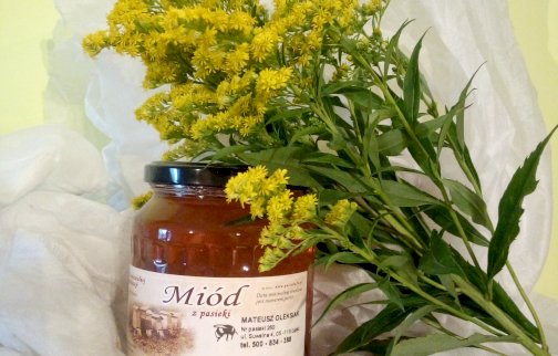 fot. facebook Gospodarstwo Pasieczne "Dębowa Pasieka" - Mateusz Oleksiak, www.facebook.com/Gospodarstwo-Pasieczne-D%C4%99bowa-Pasieka-Mateusz-Oleksiak-551739131993407/. Na zdjęciu słoik miodu nawłociowego, obok słoika roślina nawłoć o kwiatach, żółtych koronach