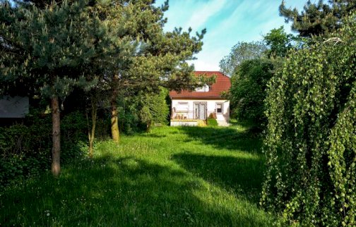 fot. www.trivago.pl/serock-112581/hotel/willa-zaba-7965682. Źródło: Expedia. Willa Żaba z zewnątrz  w otoczeniu zieleni, drzew