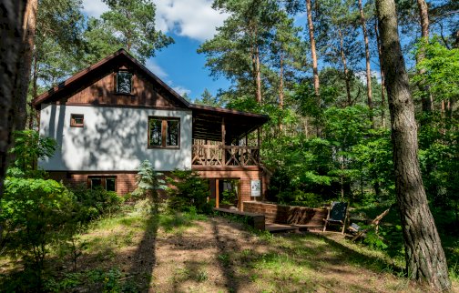 fot. https://www.airbnb.pl/rooms/40772400/photos?source_impression_id=p3_1646305043_gdiL3KEzmTofvsN1&modal=PHOTO_TOUR_SCROLLABLE. Na zdjęciu domek Masuria Warsaw w otoczeniu drzew, leżaki na trawie