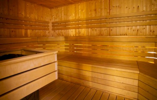 fot. https://www.spektrumsportu.pl/o-nas/. Na zdjęciu strefa spa - sauna