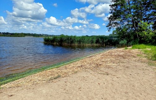 fot. facebook Urząd Miasta i Gminy Serock, https://www.facebook.com/photo/?fbid=7975716625831894&set=pcb.7975719032498320&locale=pl_PL. Na zdjęciu plaża we wsi Łacha, rzeka Narew, trzcinowisko, drzewa obok plaży, pierzaste chmury na błękitnym niebie