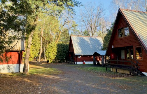 fot. www.rewita.pl/rynia. Na zdjęciu domki noclegowe w AMW Rewita w Białobrzegach. Z tyłu domków drzewa