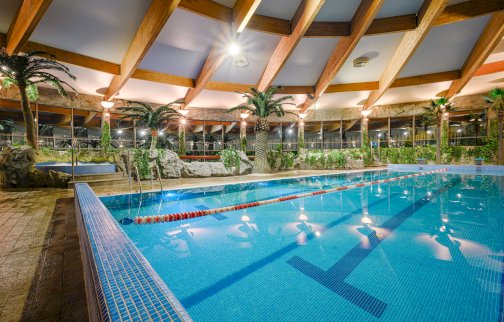 fot. facebook Warszawianka Hotel Wellness & SPA, https://www.facebook.com/photo/?fbid=690946869732683&set=a.545164837644221. Na zdjęciu Aquapark w hotelu Warszawianka, basen, tory basenowe, w tle palmy