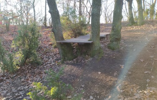 fot. kajetan1, https://www.trailforks.com/photo/21738108/, post opublikowany 3 grudnia 2021, nazwa ścieżki: Jelonka Hard. Na zdjęciu ścieżka rowerowa: Jelonka Hard w Gminie Jabłonna, drewniany podest między drzewami do wykonywania ewolucji na rowerze