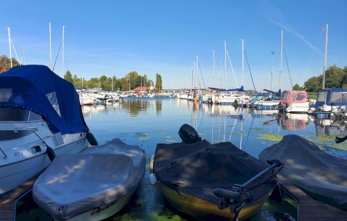 fot. TKKF Wodnik. Ujęcie z pomostu na marinę pełną jachtów i łodzi, z przodu widoczne trzy przykryte jednostki, a w oddali rzędy masztów i niebieskie niebo odbijające się w tafli wody