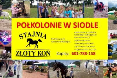 Powiększ obraz: fot. stajniazlotybialoleka.pl. Na zdjęciu baner reklamowy, atrakcje stajni Złoty Koń, napis Półkolonie w siodle