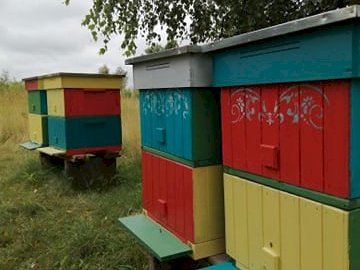 Powiększ obraz: fot. facebook Dynioland.edu.pl, www.facebook.com/dynioland. Na zdjęciu cztery ule, z tyłu fragment drzewa