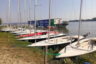Powiększ obraz: fot. Ośrodek Sportów Wodnych PORT AZS ZEGRZE. Na zdjęciu widać rząd małych żaglówek bez postawionych żagli zacumowanych przy brzegu Jeziora Zegrzyńskiego obok przystani wodnej
