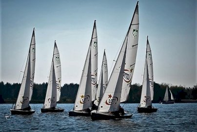 Powiększ obraz: fot. Ośrodek Sportów Wodnych PORT AZS ZEGRZE. Na zdjęciu kilka żaglówek z białymi żaglami żegluje po jeziorze w kierunku wiatru. Z tyłu w oddali za żaglami widać gęsty las