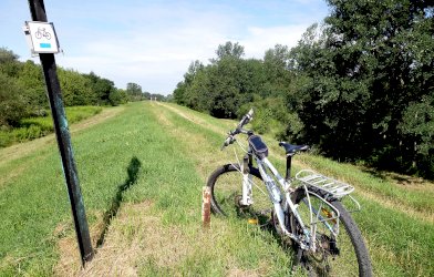 Sprawdzone scenariusze