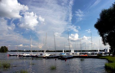 fot. Krzysztof Czarnecki