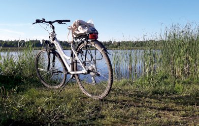 fot. Monika Kosewska