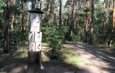 Ścieżki edukacyjne