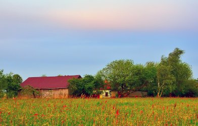 fot. Daniel Katkowski