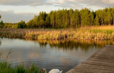 Parki i pomniki przyrody